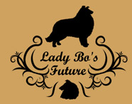 Lady Bo's Future